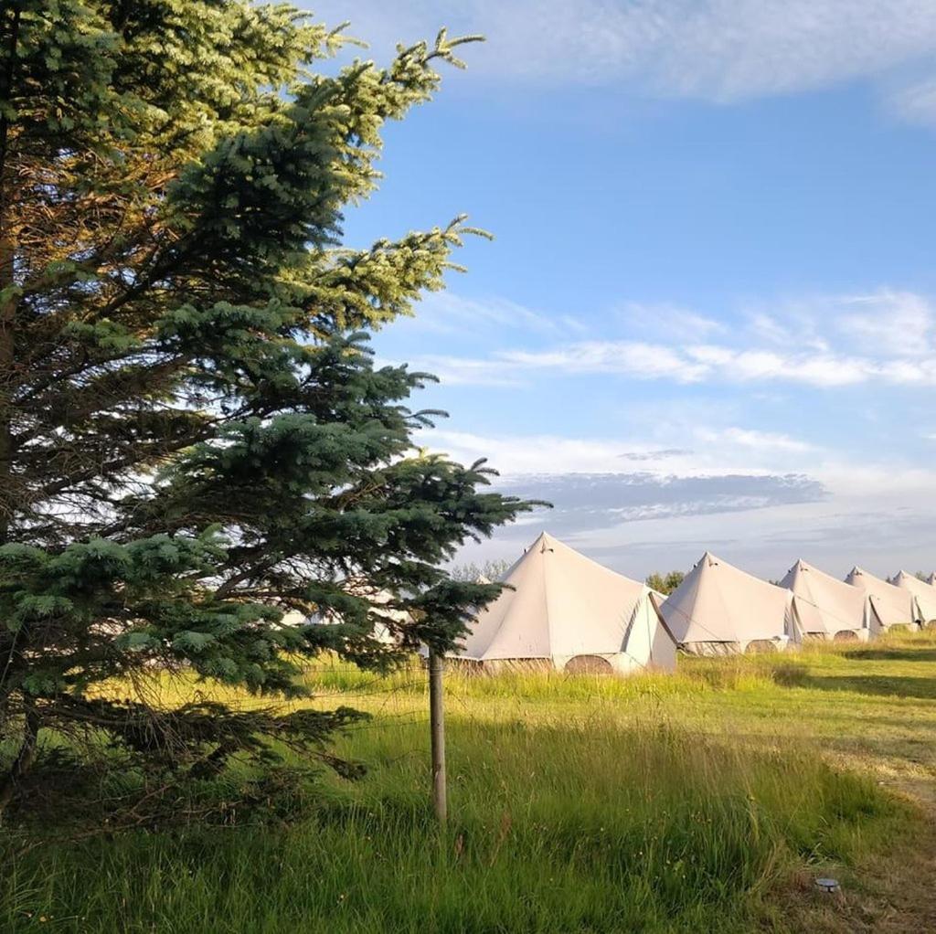 Godaland Glamping Hvolsvöllur المظهر الخارجي الصورة